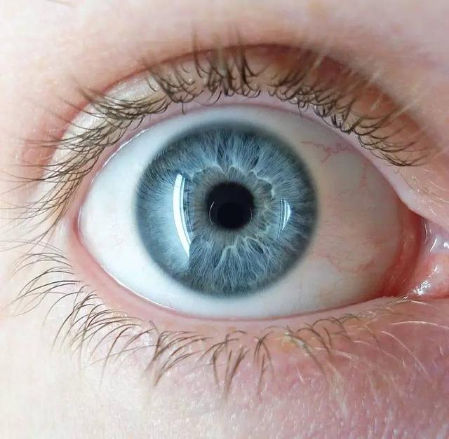 人体没有蓝色素,第一次见到蓝眼睛的外国人的时候?睡前科学故事